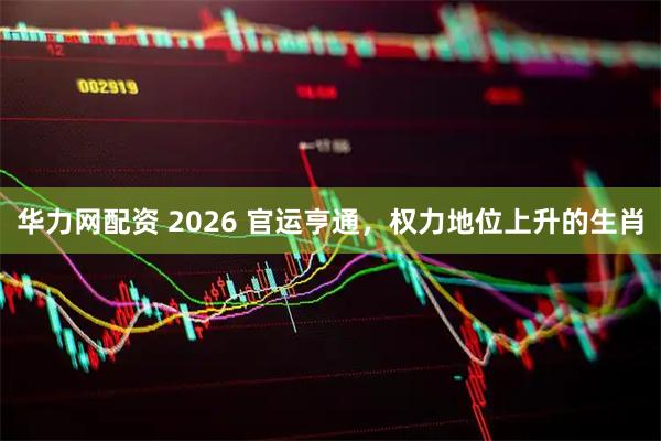 华力网配资 2026 官运亨通，权力地位上升的生肖